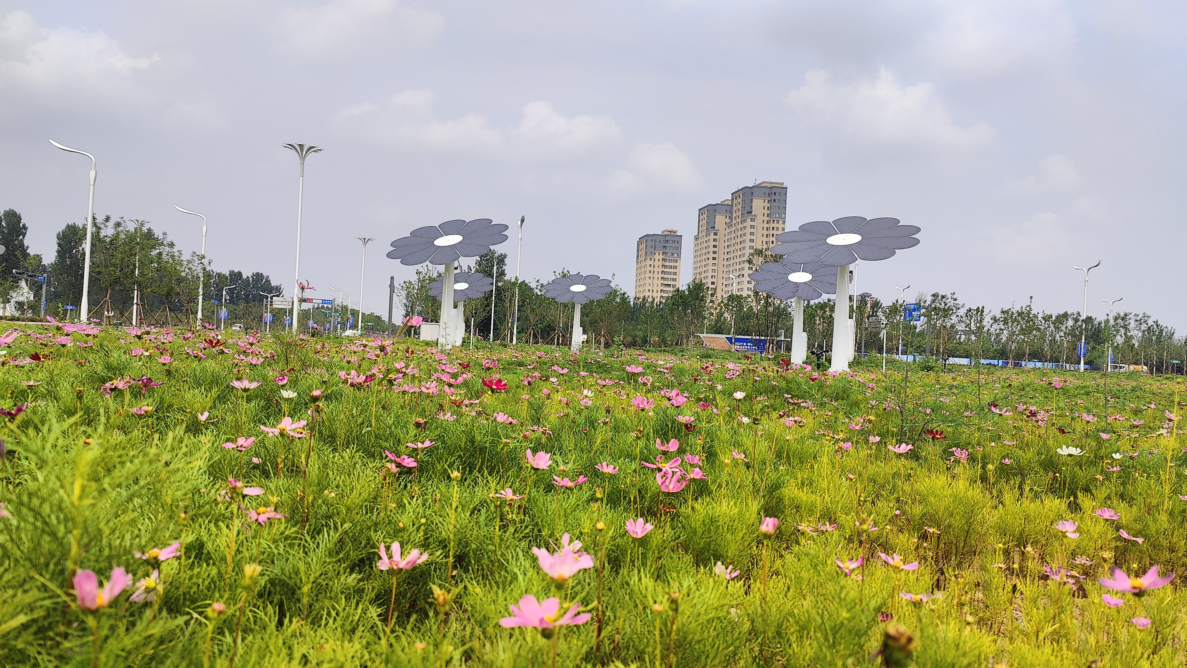 自然风景区，低碳景观设施改造可用光伏太阳花（光伏花)