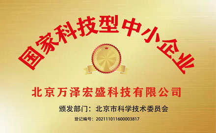 国家科技型中小企业