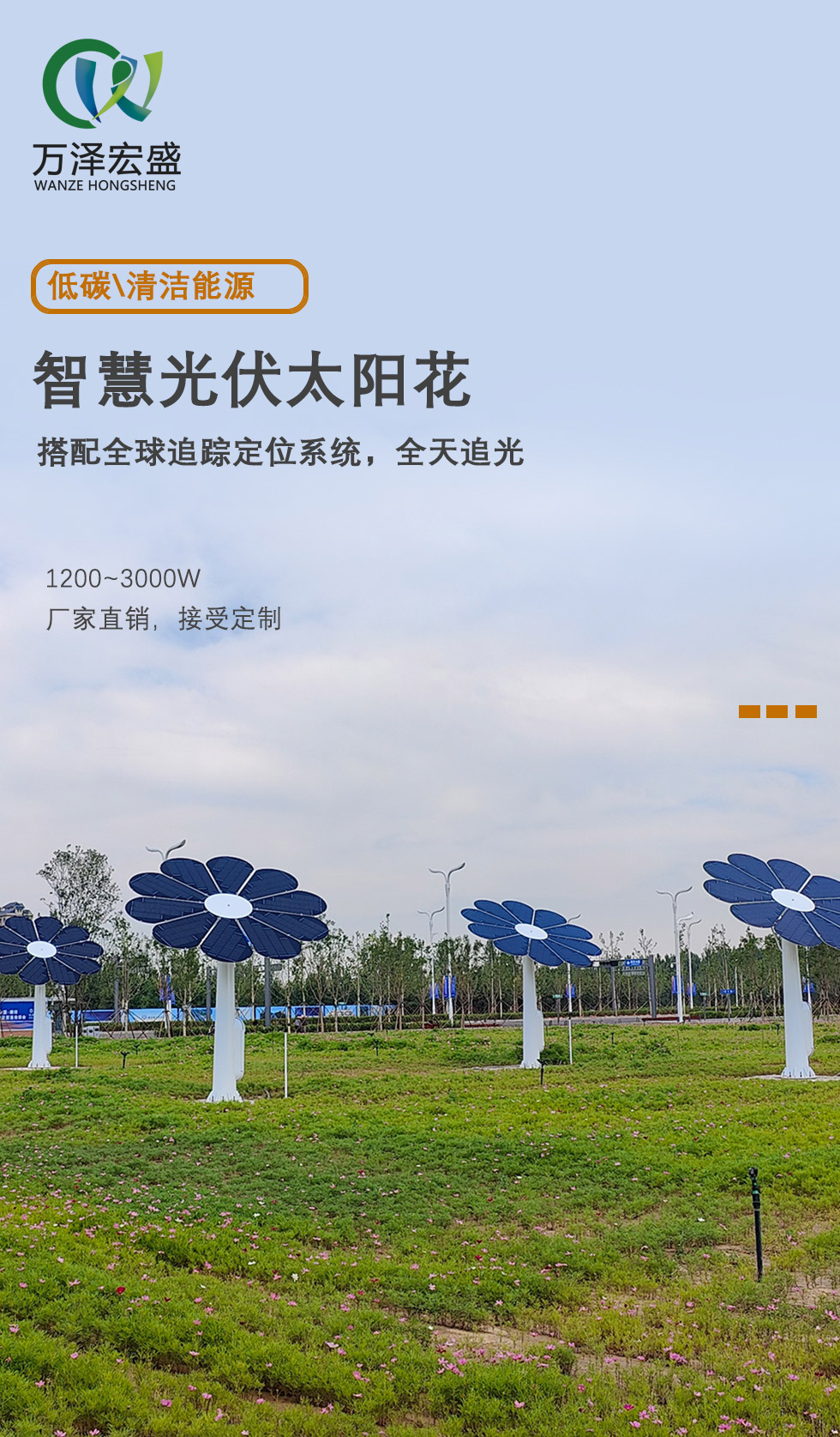 光伏花1.jpg