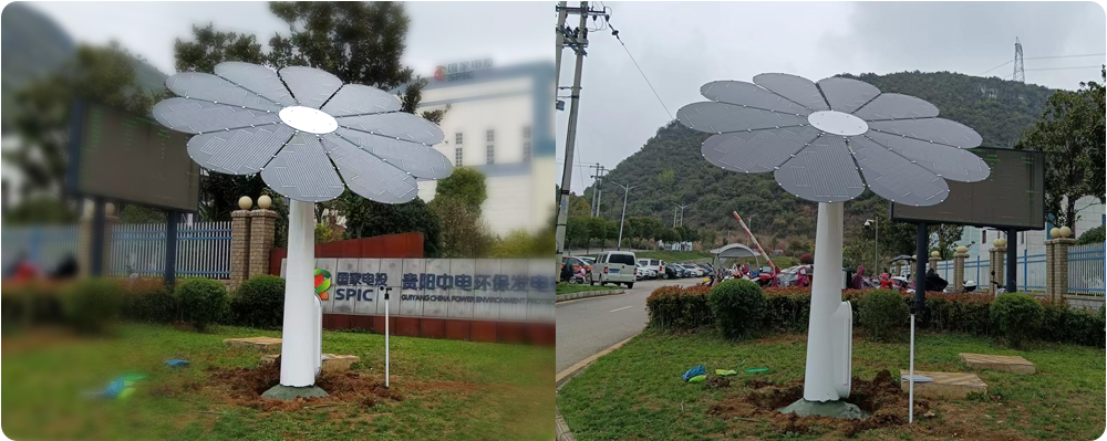 贵州光伏花.png